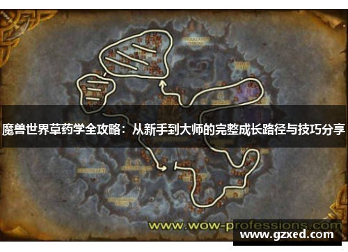 魔兽世界草药学全攻略：从新手到大师的完整成长路径与技巧分享