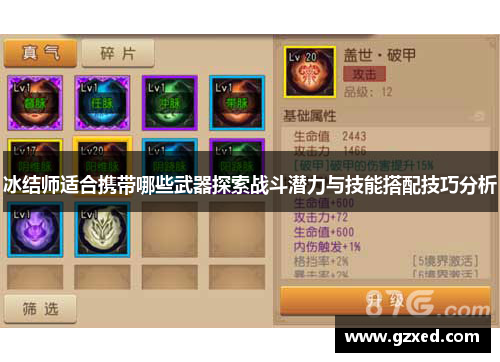 冰结师适合携带哪些武器探索战斗潜力与技能搭配技巧分析