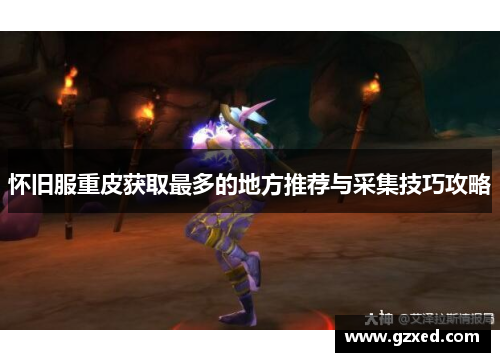 怀旧服重皮获取最多的地方推荐与采集技巧攻略