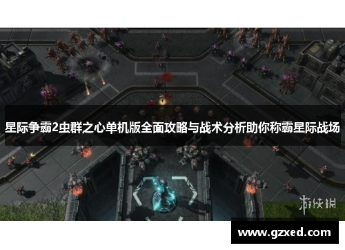 星际争霸2虫群之心单机版全面攻略与战术分析助你称霸星际战场
